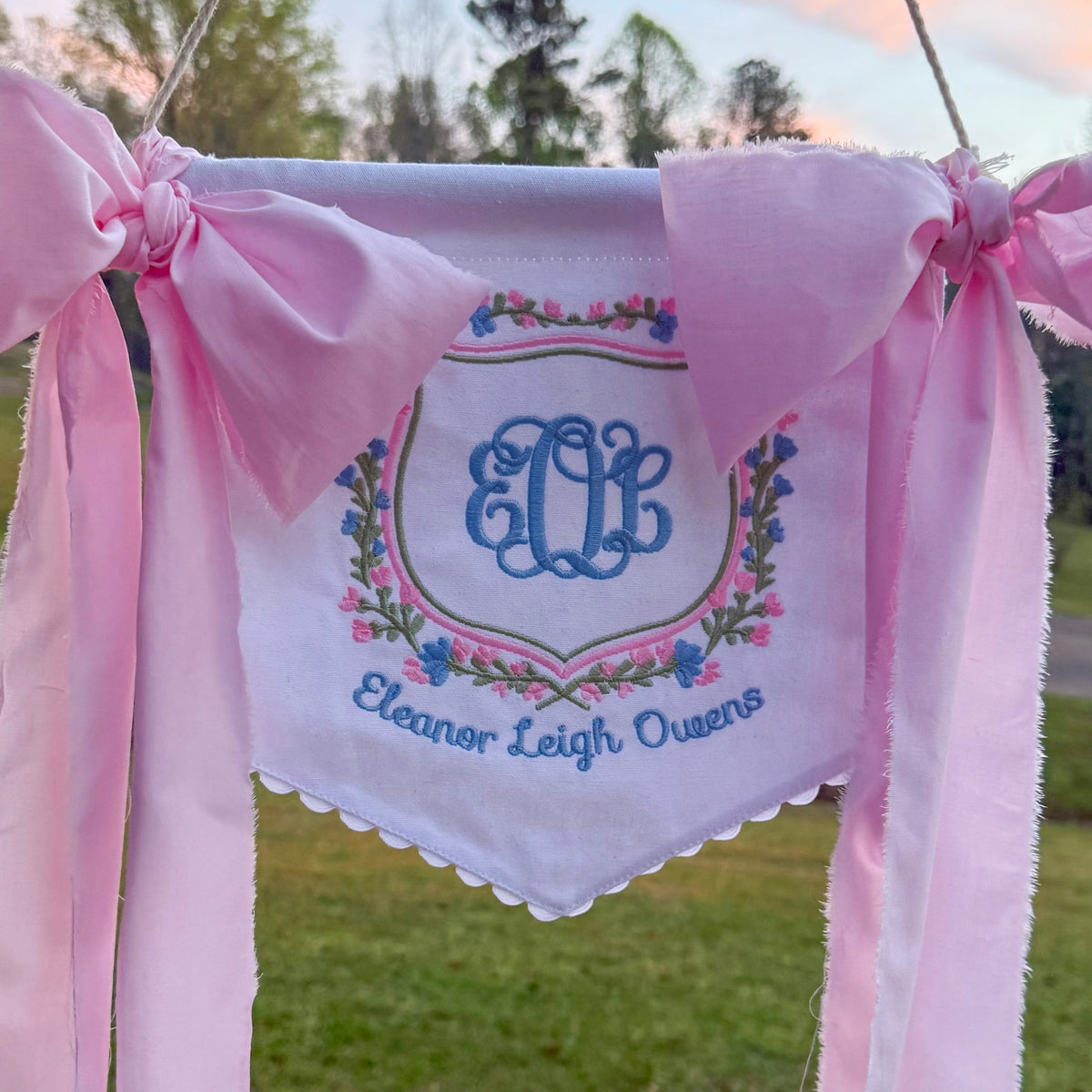 Baby Banner